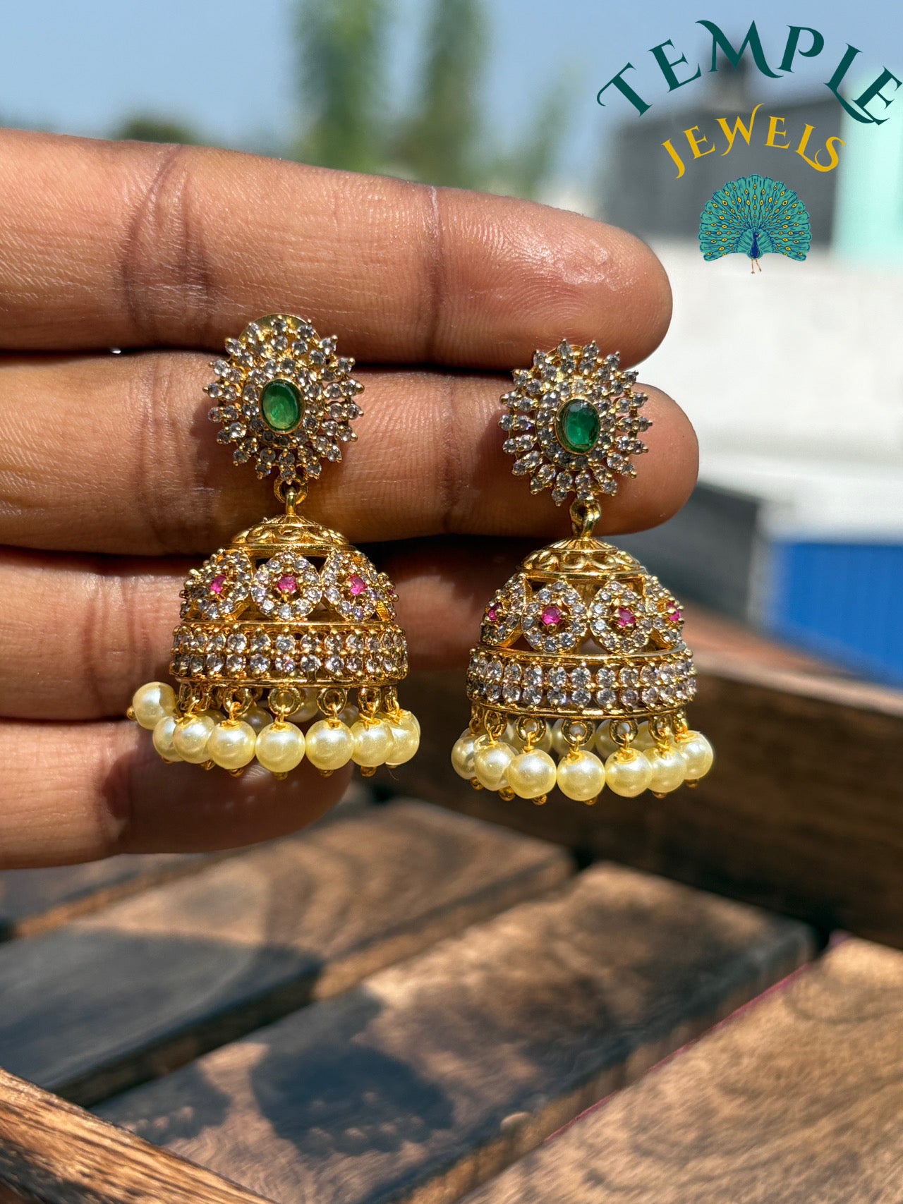 Earrings - ER2409011