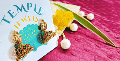 Jhumka _ Earring ER2409006